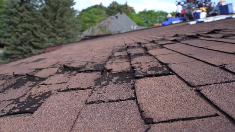 Best Roof Installation  in Ulysses, KS